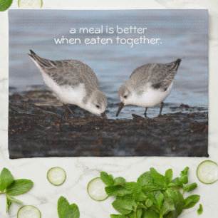 Sanderlings Sandpipers delar en måltid Kökshandduk