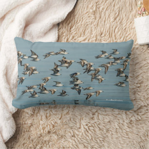 Sanderlings tar flyget i Winter Himlar Lumbarkudde