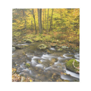 Sanderson Brook.  Chester-Blanford State Forest. Anteckningsblock