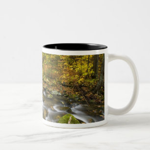 Sanderson Brook. Chester-Blanford State Forest. Två-Tonad Mugg