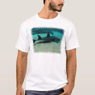 Sandhajmanar T-tröja T-shirt
