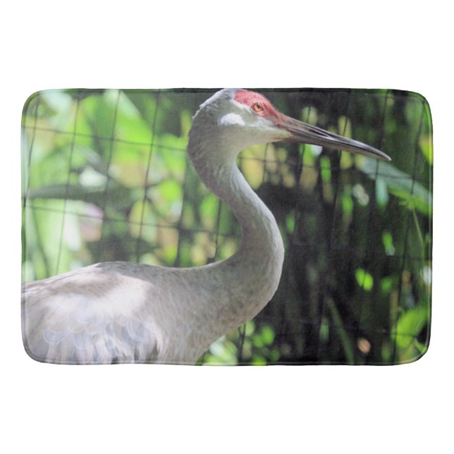 Sandhill crane badrumsmatta (Framsidan)