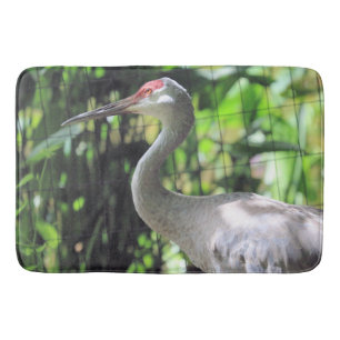 Sandhill crane badrumsmatta