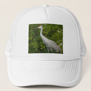 Sandhill Crane Bird Photograph Keps