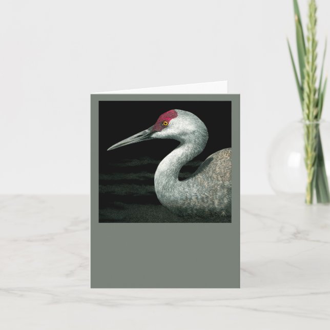 Sandhill Crane Card - "Grassland Grace" Kort (Framsida)