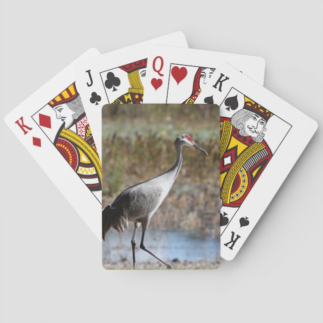 Sandhill Crane Casinokort (Baksidan)
