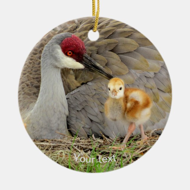 Sandhill crane-fågel med foto av chick julgransprydnad keramik (Framsidan)