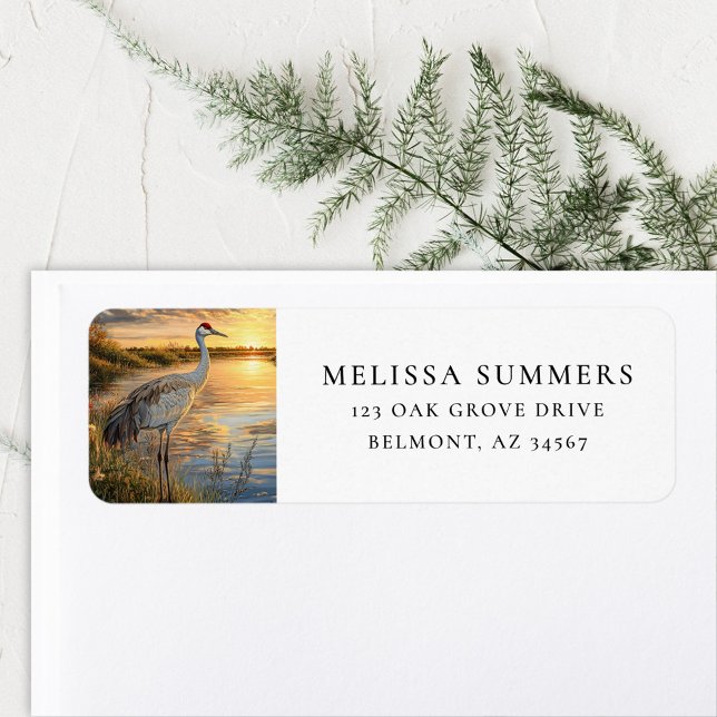 Sandhill Crane Florida Wetlands Returadress Etikett (Skapare uppladdad)
