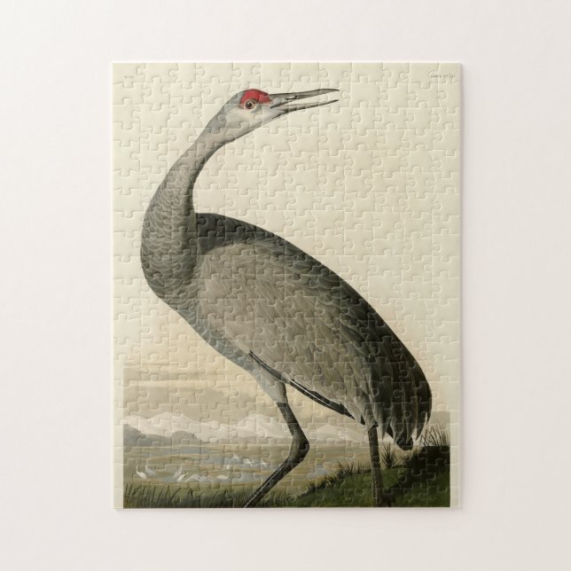 Sandhill Crane från Audubon's Birds of America Pussel (Vertikal)