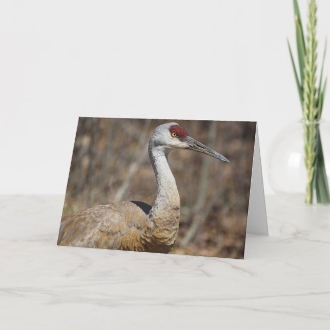 Sandhill Crane Greeting-kort! Kort (Framsida)