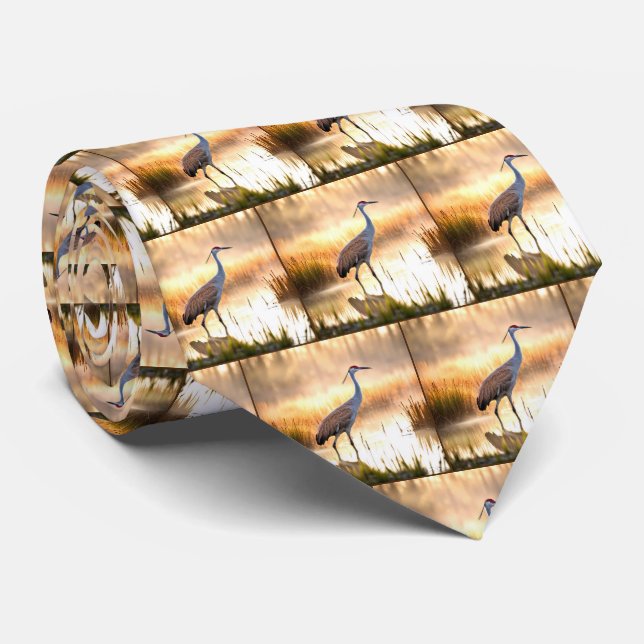 Sandhill Crane i en marsch Slips (Rullad)