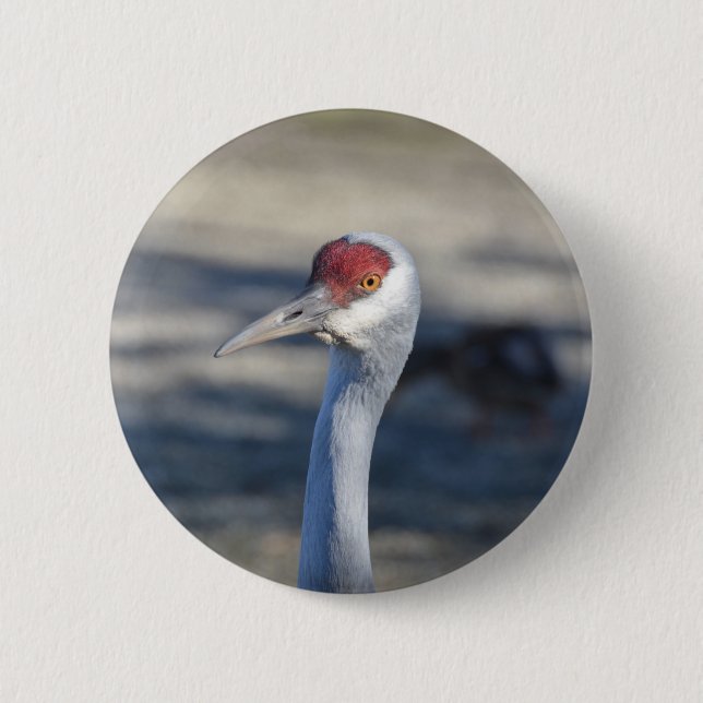 Sandhill Crane Knapp (Framsida)