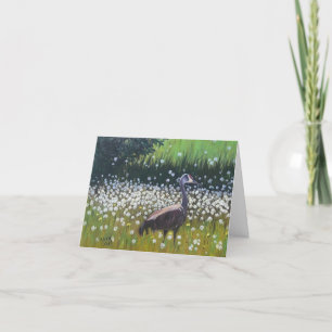 Sandhill Crane Kort