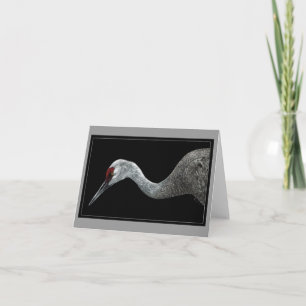 Sandhill Crane-kort Kort