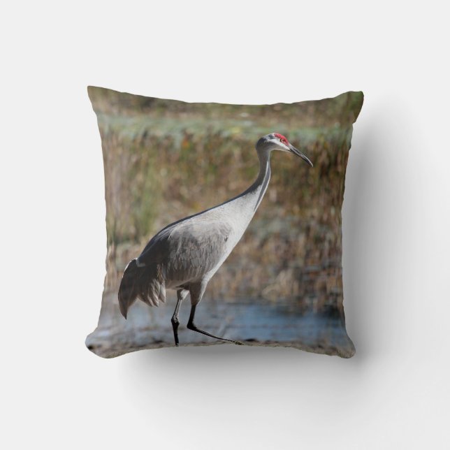 Sandhill Crane Kudde (Framsida)