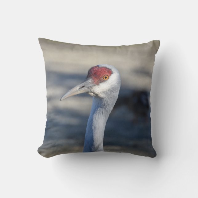 Sandhill Crane Kudde (Framsida)