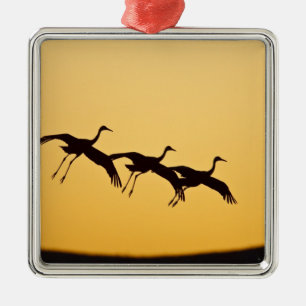 Sandhill Crane landing at sunset Julgransprydnad Metall