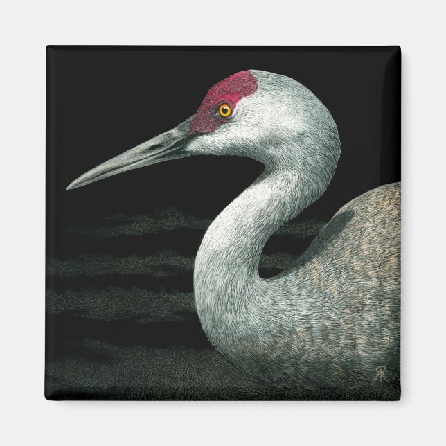 Sandhill Crane Magnet - "Grassland Grace" (Framsidan)