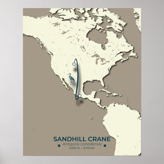 Sandhill Crane Migration Karta - Minimalistisk Vin Poster (Framsidan)
