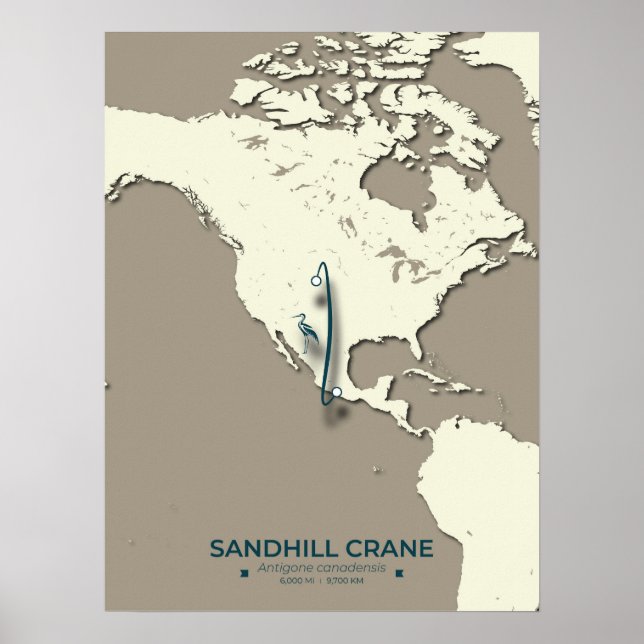 Sandhill Crane Migration Karta - Minimalistisk Vin Poster (Framsidan)