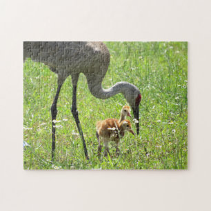 Sandhill Crane och Colts Pussel