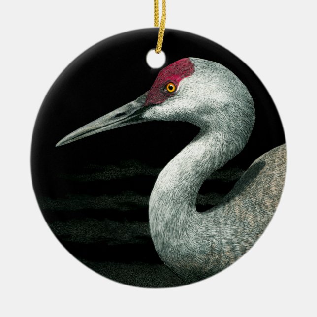 Sandhill Crane Ornament - "Grassland Grace" (Framsidan)