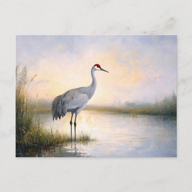 Sandhill Crane Painting Vykort (Framsida)