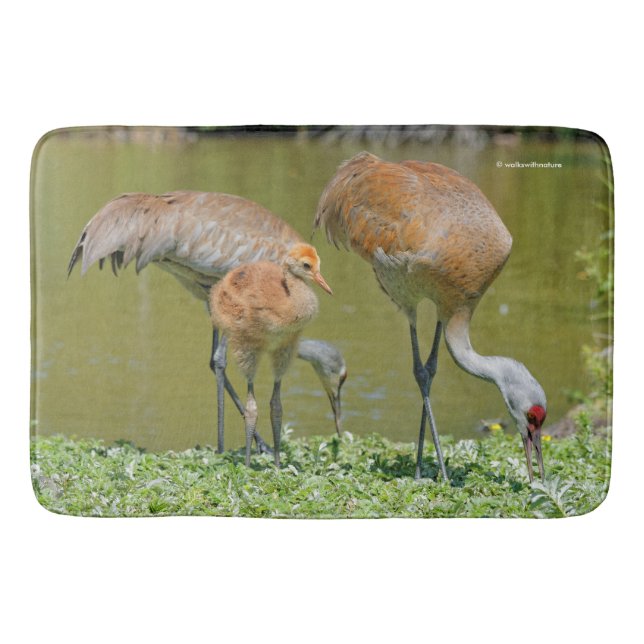 Sandhill Crane Parents and Chick Badrumsmatta (Framsidan)