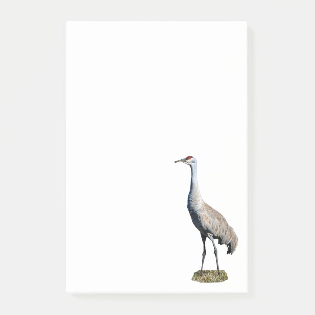 Sandhill Crane Photo 4x6 Notes Post-it Block (Framsida)