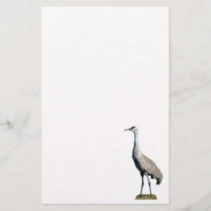Sandhill Crane Photo Letterhead Papper