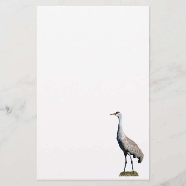 Sandhill Crane Photo Letterhead Papper (Framsida)
