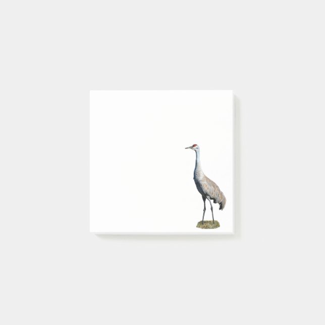 Sandhill Crane Photo Post-it Notes Block (Framsida)