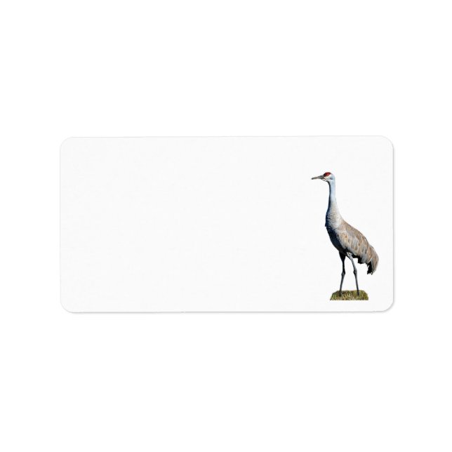 Sandhill Crane Photo Return-adressetikett Adressetikett (Framsidan)