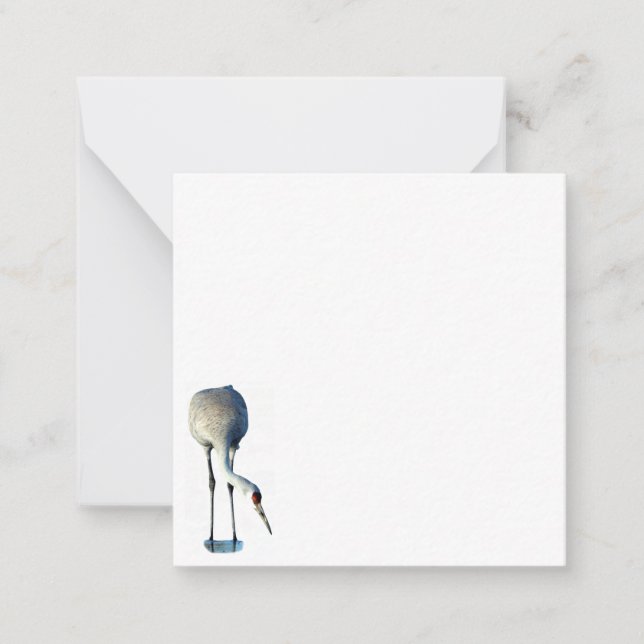 Sandhill Crane Photo Stationery Flat Note-kort Anteckningskort (Framsida)