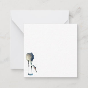Sandhill Crane Photo Stationery Flat Note-kort Anteckningskort