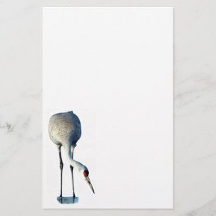 Sandhill Crane Photo Stationery Papper