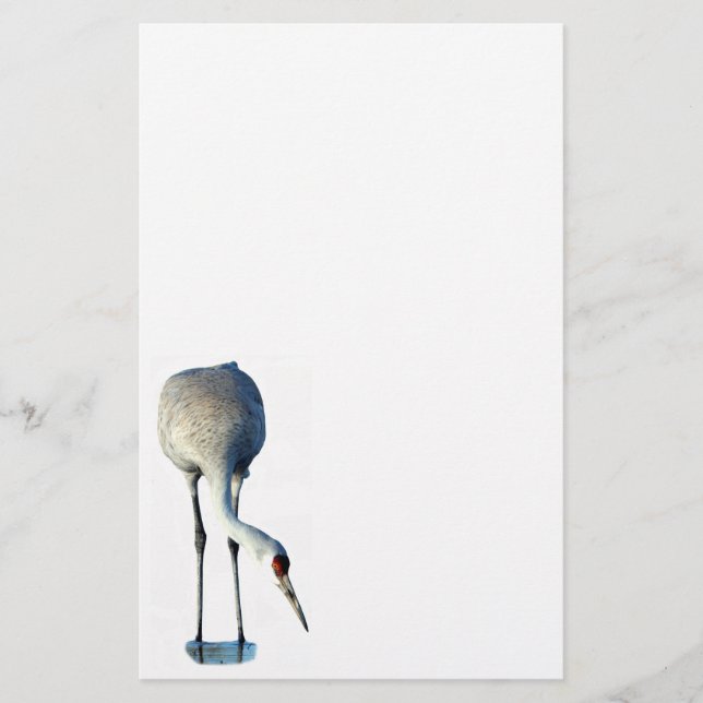 Sandhill Crane Photo Stationery Papper (Framsida)