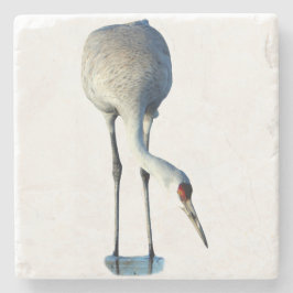 Sandhill Crane Photo Stone Coaster Stenunderlägg