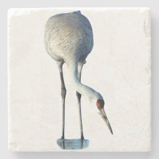 Sandhill Crane Photo Stone Coaster Stenunderlägg