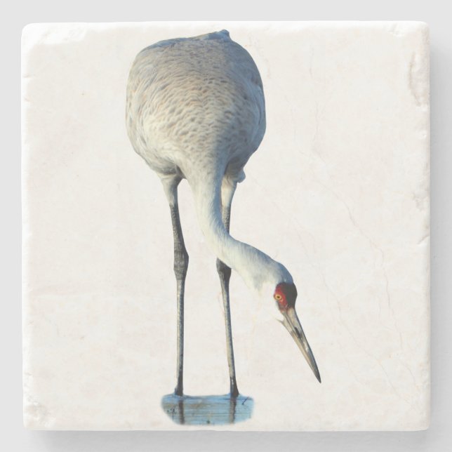 Sandhill Crane Photo Stone Coaster Stenunderlägg (Framsidan)
