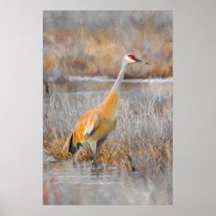 Sandhill Crane Poster