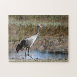 Sandhill Crane Pussel