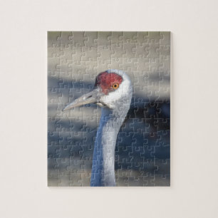 Sandhill Crane Pussel