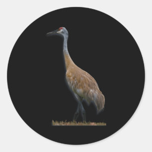 Sandhill Crane Runt Klistermärke
