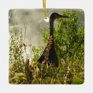 Sandhill Crane vid Moose Ponds i Grand Teton Julgransprydnad Keramik