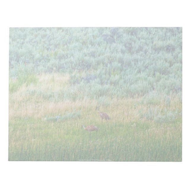 Sandhill Cranes Anteckningsblock (Framsida)