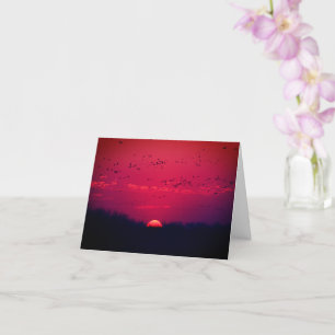 Sandhill Cranes at Sunset notecard 1 Nebraska 2018 Kort
