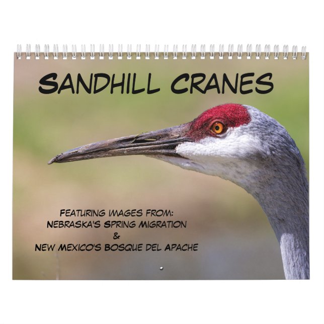 Sandhill Cranes Calendar Kalender (Omslag)