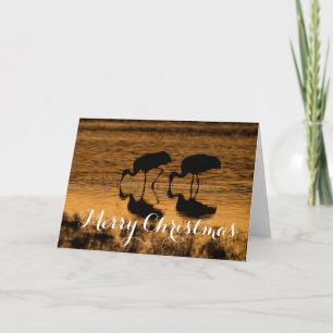Sandhill Cranes, God jul Helgkort