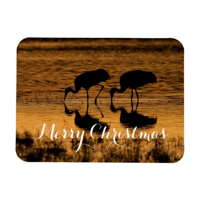 Sandhill Cranes, God jul Magnet (Horisontell)